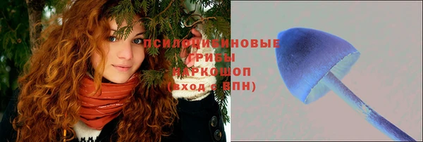 соль ск Карталы