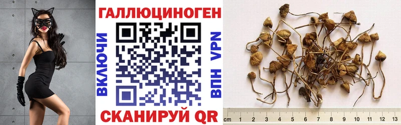 Галлюциногенные грибы ЛСД  Тимашёвск 
